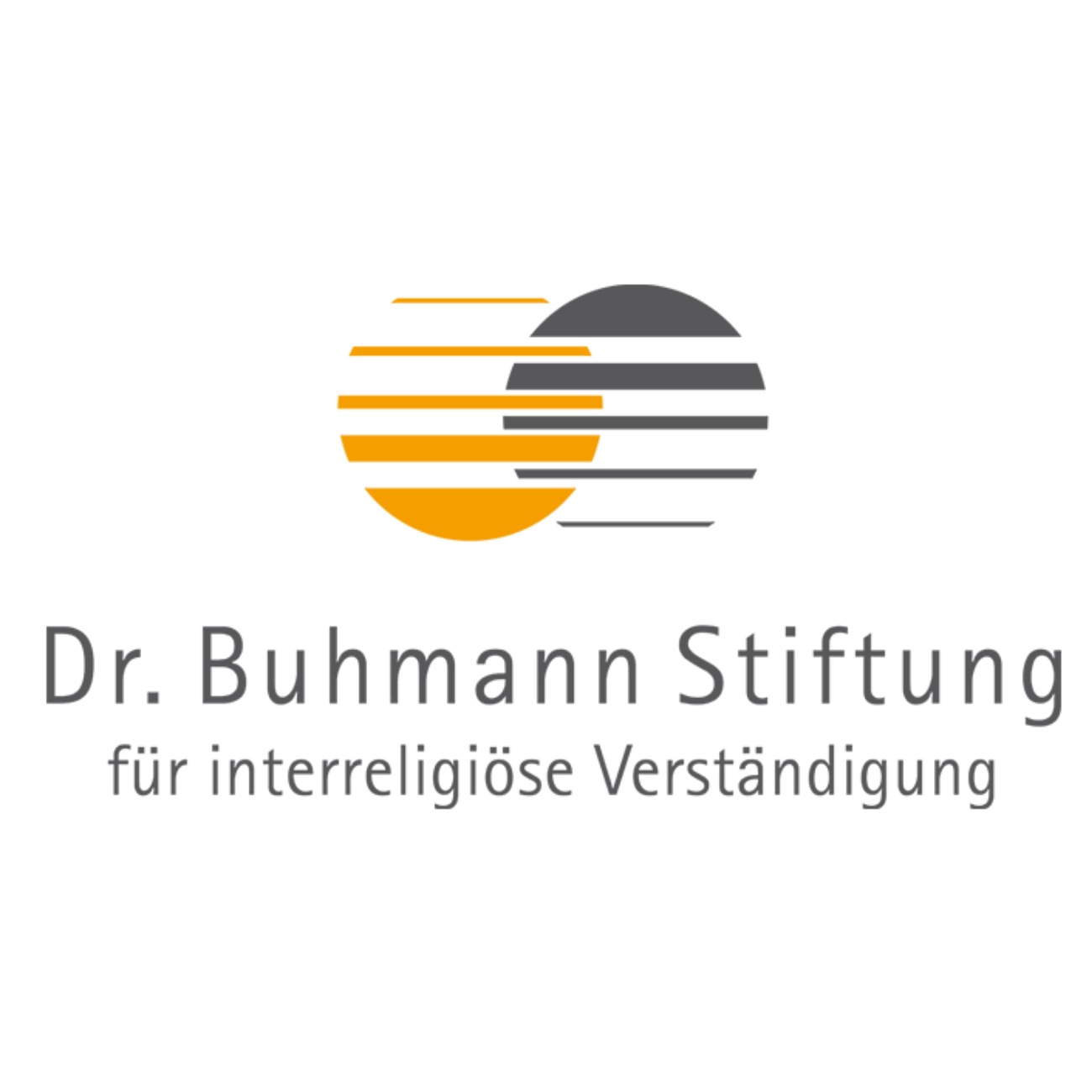 dr buhmann stiftung logo